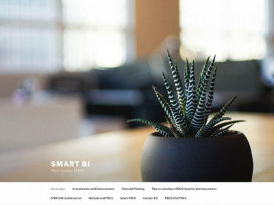 smartbi-apps.com snapshot