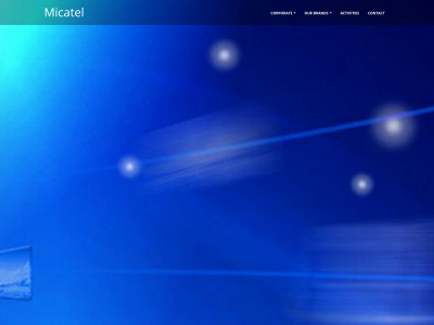 micatel.com snapshot