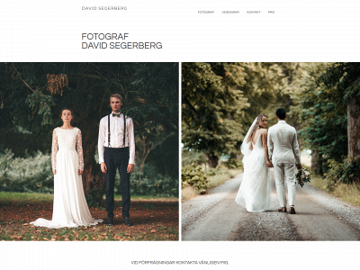 davidsegerberg.se snapshot