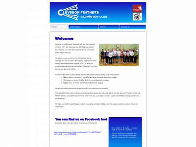 clevedonfeathers.co.uk snapshot