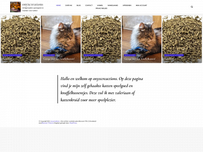 onyxcreations.nl snapshot