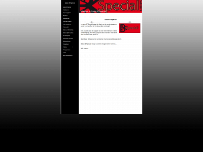 salonbspecial.nl snapshot