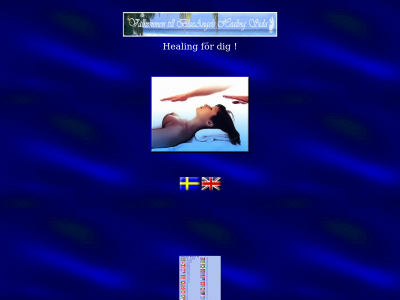 distansreiki.se snapshot