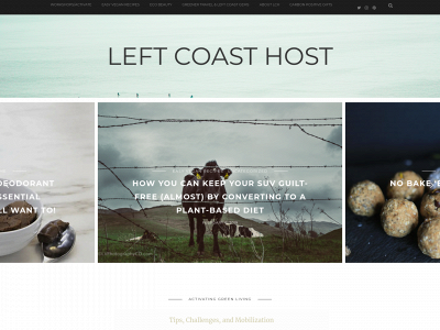 leftcoasthost.com snapshot