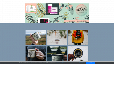 bhlife.weebly.com snapshot