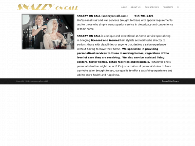 snazzyoncall.com snapshot