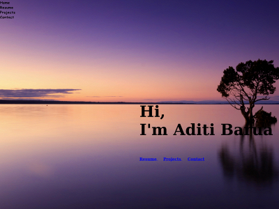 aditibarua.com snapshot