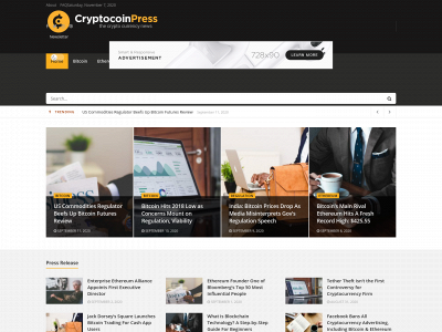 cryptosafenow.com snapshot