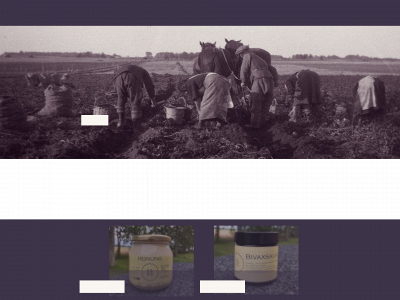 rappestadberg.se snapshot