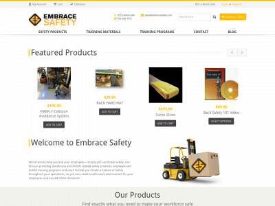 embracesafety.com snapshot