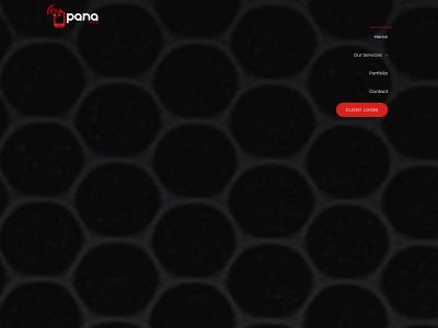 panaapps.com snapshot