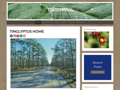 tinglyptus.com snapshot