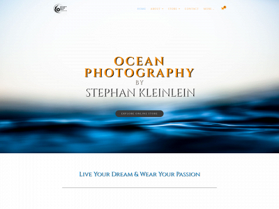 oceanbluesky.com snapshot