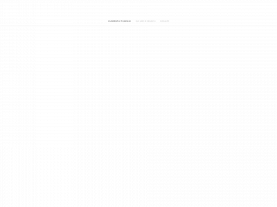 www.b-search.org snapshot