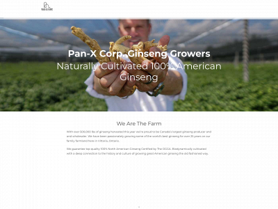 panax-cbd.com snapshot