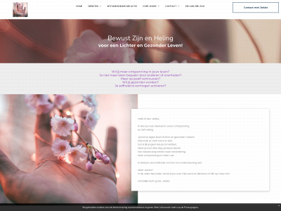 bewustzijnenheling.nl snapshot