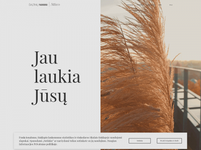 saltiniunamai.lt snapshot