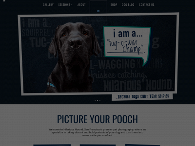 hilarioushound.com snapshot