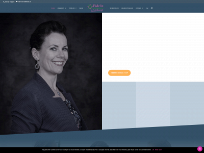 fidelizmediation.nl snapshot