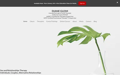 www.dianegleim.com snapshot