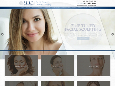 drsule.com snapshot