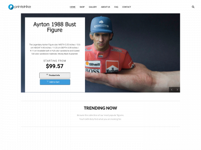 printstrike.com snapshot