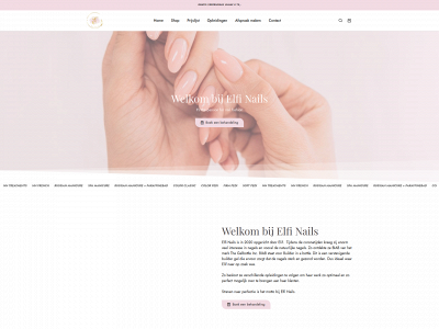 elfinails.be snapshot
