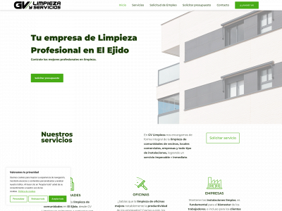 www.limpiezasyserviciosgv.es snapshot