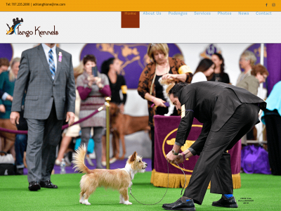 tangokennels.com snapshot