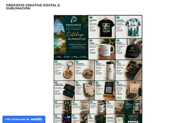 procopiocreative.weebly.com snapshot