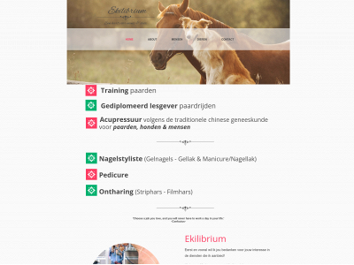 ekilibrium.be snapshot