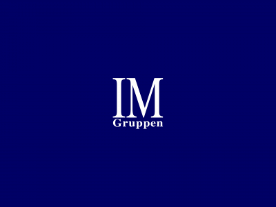 imgruppen.com snapshot