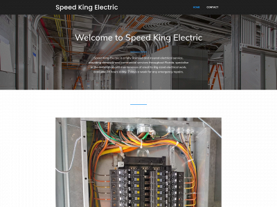 speedkingelectric.com snapshot