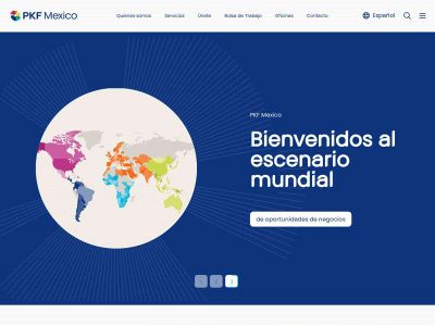 pkf.com.mx snapshot