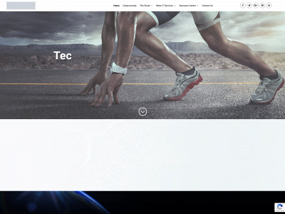 tecflowinc.com snapshot