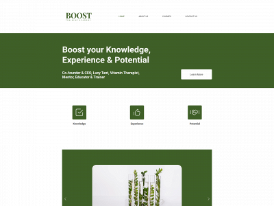 boosttrainingacademy.com snapshot