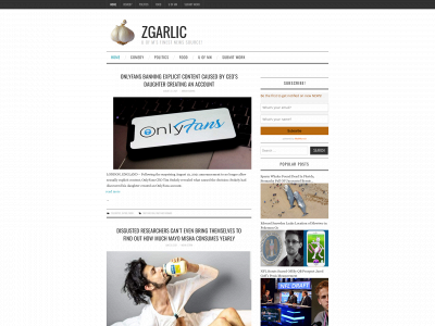 zgarlic.com snapshot