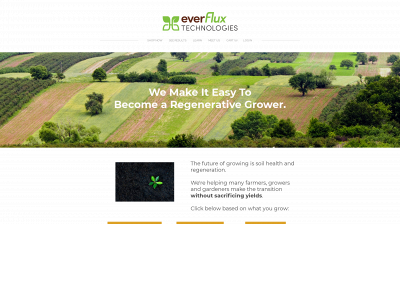www.everfluxtechnologies.com snapshot