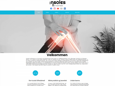 insolesbybomark.dk snapshot