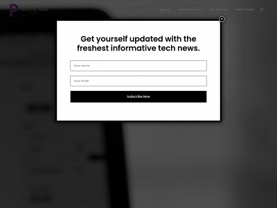 thepaintstudio.co snapshot