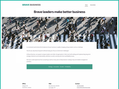 bravebusiness.today snapshot