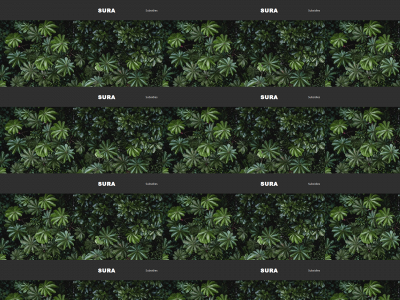 sura-impact.be snapshot