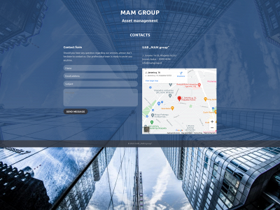 mamgroup.lt snapshot