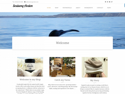 soulsongavalon.com snapshot