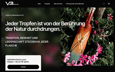 vb-spirits.com snapshot