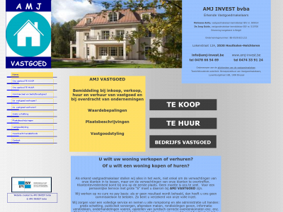 amj-invest.be snapshot