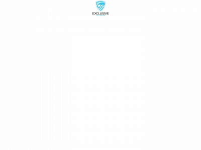 exclusivetaxservices.com snapshot