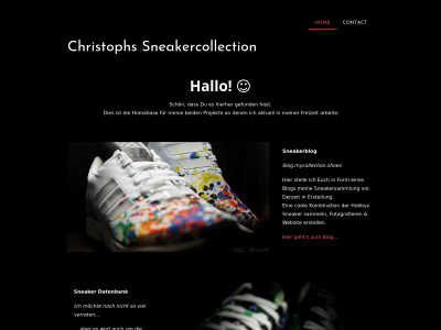 mycollection.shoes snapshot