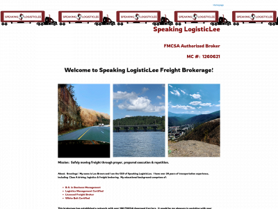 speakinglogisticlee.com snapshot
