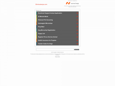 30minutesrpa.com snapshot